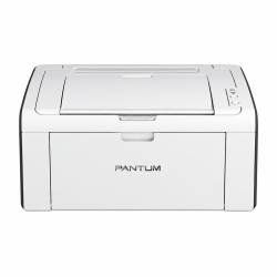 Pantum P2509W