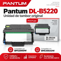 Pantum DL-B5220